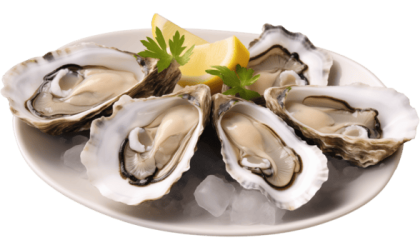 fresh-oysters-with-lemon-and-parsley-on-plate-isolated-on-transparent-background-png